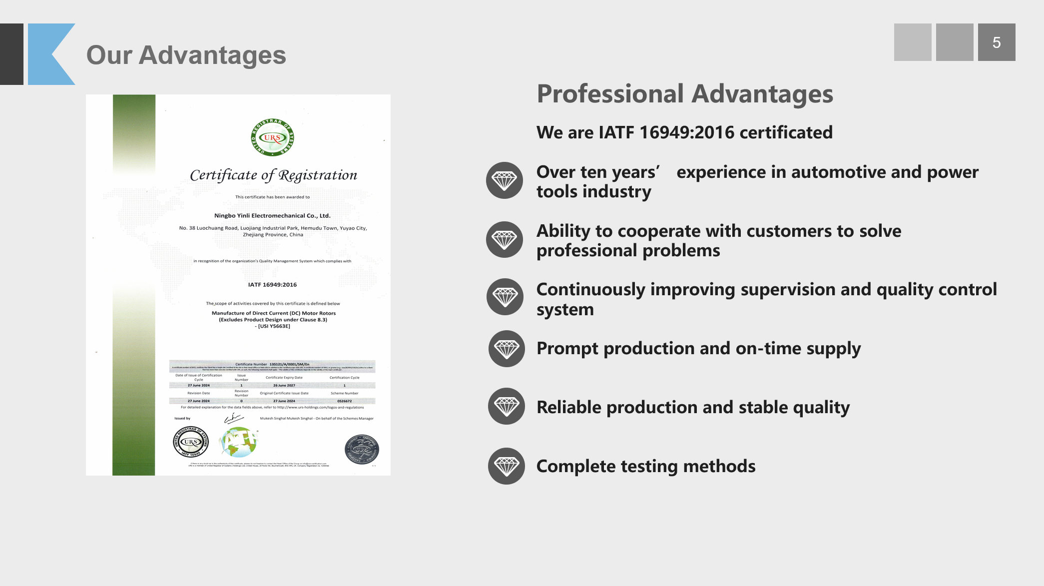 Professional Advantages